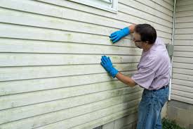 Best Siding Painting and Refinishing  in Westgate, FL